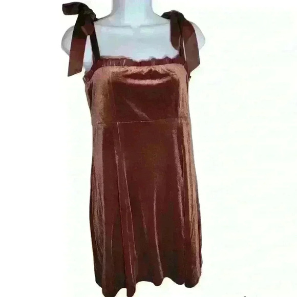 NWT Danielle Bernstein Women's Velvet Short Mini Dress - Warm Brown Size Small - Picture 2 of 3